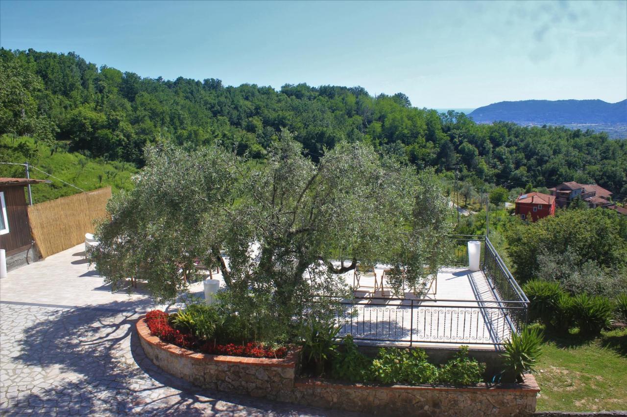 Fattoria Cristina Bilo Rosa Villa Castelnuovo Magra Exteriör bild