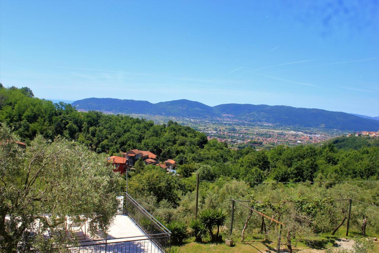 Fattoria Cristina Bilo Rosa Villa Castelnuovo Magra Exteriör bild